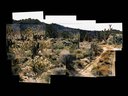 mojave_desert_14.jpg