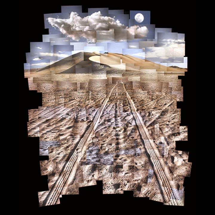 Patrick Walsh Photomosaics